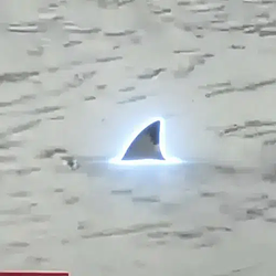SHARKNADO