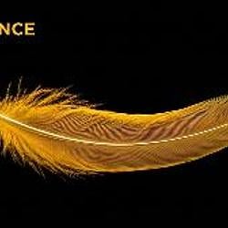 FEATHER / BNB