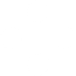 DIGI
