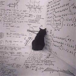 QCAT