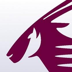 QATAR AIRWAYS / WETH