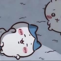 猫ちゃ