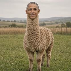 Obama / SOL