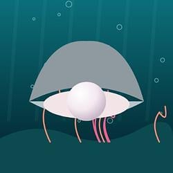 REEF