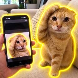 COPYCAT