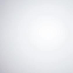BASED-SPEED logo