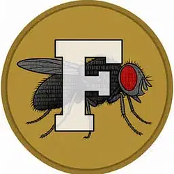 FLY