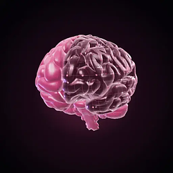 MIND