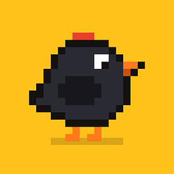 FLOCK