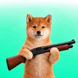 pdog