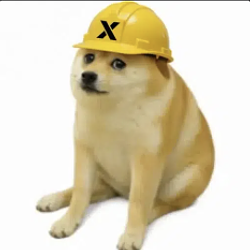 CASHDOG / SOL
