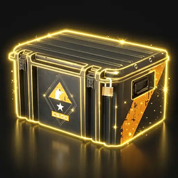 The Case
