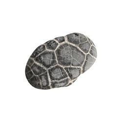 ROCK / SOL