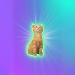 BELCAT