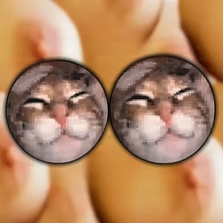 titties