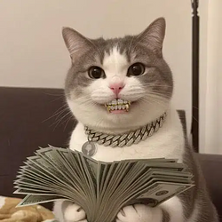 PCAT