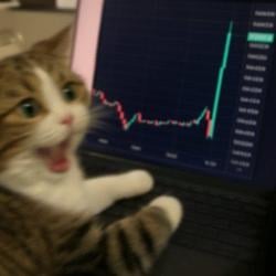 CATDAMON / WETH