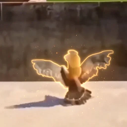 ApeAirlines
