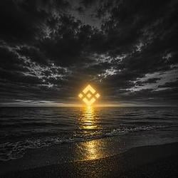 币安你是我世界上唯一的色彩 / BNB
