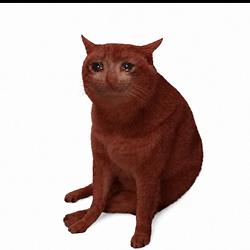 CRASHCAT