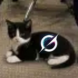 XCAT