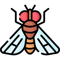 FlyFUND / USDG 30%