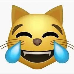LMEOW