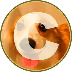 CORGI
