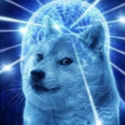 QDOGE
