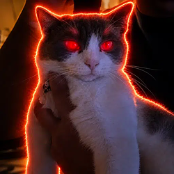 FLASHCAT