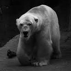 ARTURO