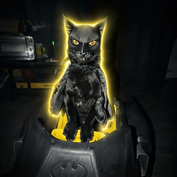 BATCAT / SOL