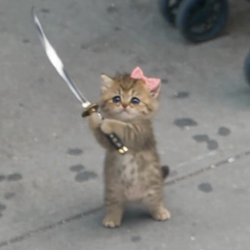 catana