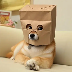 ADOGE