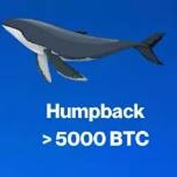 Humpback / SOL