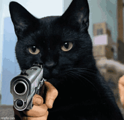 PRESSCAT