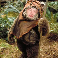 EWOK / SOL