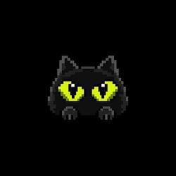 PETPAD