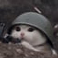 trenchcat