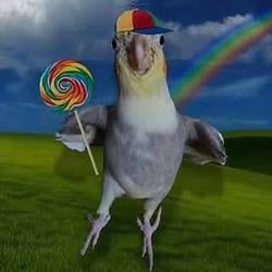 Lockatiel