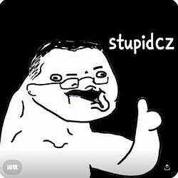 stupidCZ