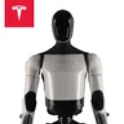 TeslaBot