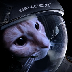 SPCAT