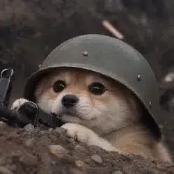 trenchdog