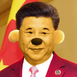 Xi