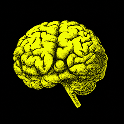 MINDLAUNCH / USDG