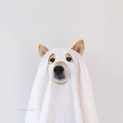 GHOSTINU