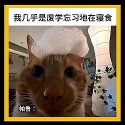炒股猫 / BNB