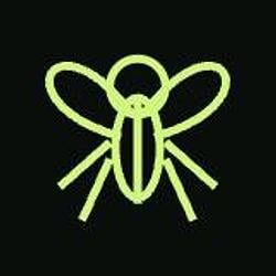 DEGENFLY / WETH