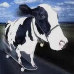MOONERO